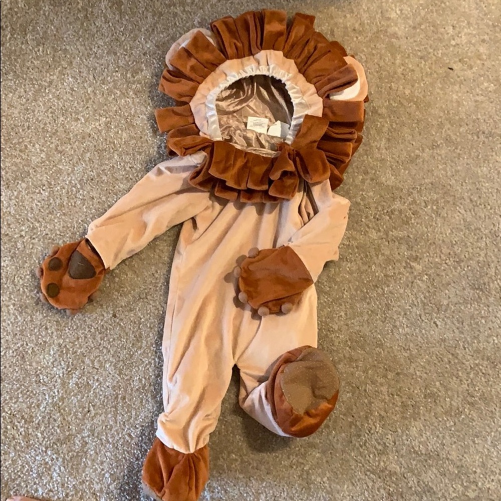 Lion costume